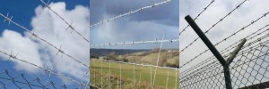 ODM Barbed Wire Mesh,ODM Metal Barbed Wire,ODM Barbed Wire Net,ODM Barbed Wire Prison Fence